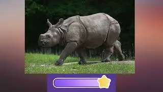 Can You Guess the Animal? 🐾 | Fun Animal Picture Quiz for All Ages! #quiz #challenge #trending