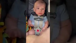 Cuteness Overload with a Side of Giggles! 😍🤣 #cute #cutebaby #baby #funny #funnybaby #laugh