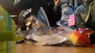 Jayke and Isaacs toy review