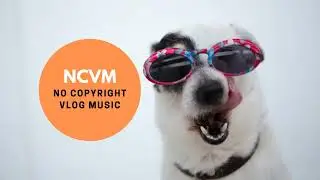 Funny background music no copyright | Made in india song ||