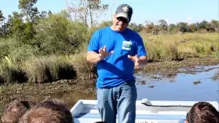 Capt. Jay Boutte Swamp Tour