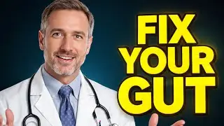 Gut Health 101 | Digestive System Tips You Need to Know