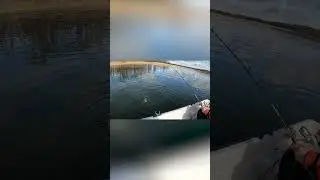 IGAL KALAMEHEL ON SEE ÜKS SÕBER ! LIKE!! KUI OLED SAMA MEELT #our_fishing_trips