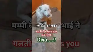 मम्मी के फोन #funny #comedy #dogtalk  #shortsfeed #shorts #trending #viralvideo #doglover #dog #meme