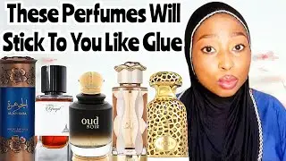 TOP 20 Most Longlasting Middle Eastern Perfumes I Tried In 2024