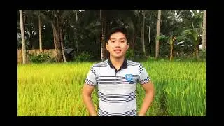 POST HARVEST HANDLING AND SEED TECHNOLOGY (PHT1 AB1)/ Rino Miones