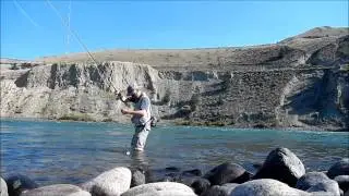 Thompson river fly fishing - catch on dry fly