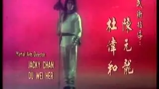 蛇鶴八拳OP演武 日本公開版再現