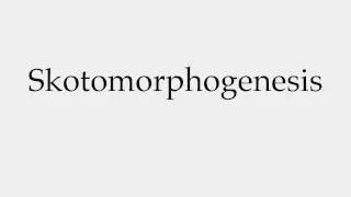 How to Pronounce Skotomorphogenesis