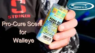 Using Pro Cure Scent Products for Walleye