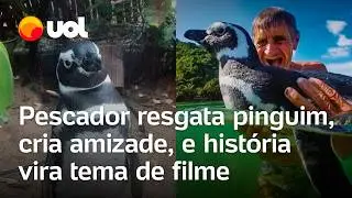 Pescador resgata pinguim, cria amizade, e hist&oacute;ria vira tema de filme no Rio de Janeiro; confira