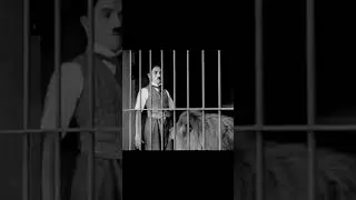 Chaplin vs  The Lion 🦁 | The Circus (1928) | Silent Film Classic