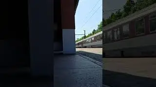 🚆 EXPRESS TRAIN TO SLOVAKIA | CZECH RAILWAYS #shorts #strejdarukus