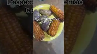 Astuce air fryer #lifestyle #monsieurcuisinesmart #bonnecuisine #recettefacile #vegan #vegetarian