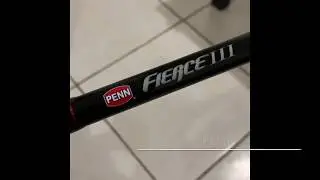PENN FIERCE 3 LIVE LINER 8000 ROD AND REEL COMBO (IN-DEPTH REVIEW)