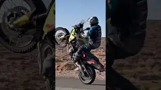 How to wheelie a BMW F900 #motorcycle #BMWF900 #adventure #adventurebike
