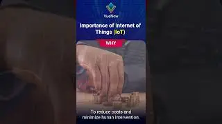 Importance of Internet of Things (IoT) | VueNow