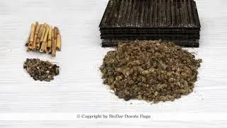 How to take the mason bee cocoons out 10 times faster?