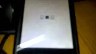 BlackBerry 9500 Storm (Damaged)