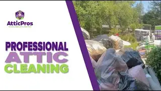 Professional Attic Cleaning and Rodent Control in Concord, CA