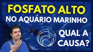 FOSFATO ALTO NO AQU&Aacute;RIO MARINHO - QUAL A CAUSA?