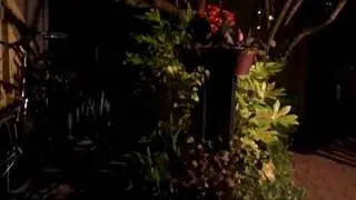 Night Visitor to the Garden  Full Version