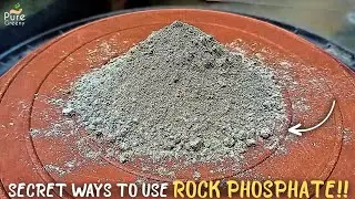 Hidden BENEFITS Of Rock Phosphate, & The Right Way To Get Them!