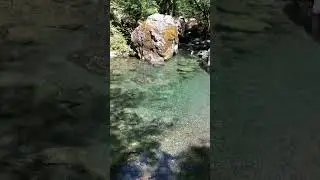 Hiking Rogue River Trail #hiking #backpacking #oregon #creek
