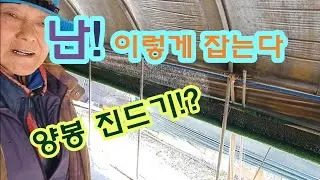 31년양봉계의 고수가 진드기 잡는법~/계상작업   /취미양봉 / 부업양봉 /토종벌 /진드기/꿀벌