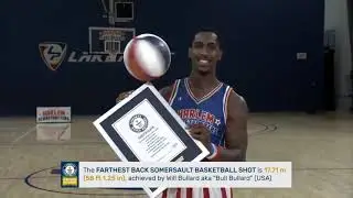 Most Incredible Like A Boss Moments!