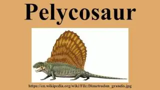 Pelycosaur