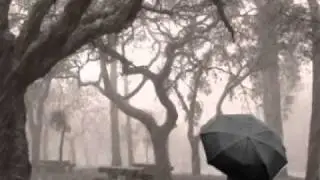 IRMA PINEDA: Didxa-do': 