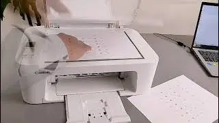 Как сделать копии на Canon Pixma TS3751i | Руководство по цветной и черно-белой печати