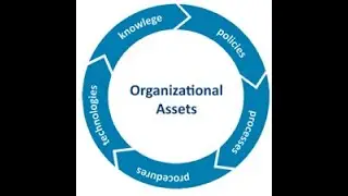 Organizational Process Asset