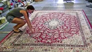 Cleaning oriental rug using an odor free cleaner