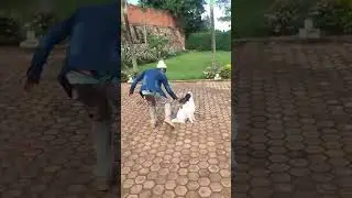 Ahaze umuceri