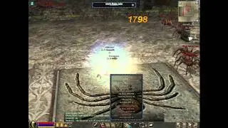 Metaox 15 lvl  VS.  46 LVL    PVP metin2