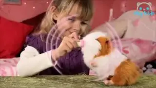 [KID TOY CHANNEL]Best Toys 💟 Animagic and Baby Born 💝 Best Toys Commercials