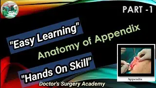 Anatomy of Appendix | Appendix Part -1| What is Appendix | Situs Inversus | McBurney's point| #DRSA