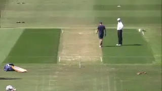 Bay Oval Live Stream
