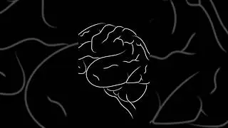 human brain study psychology diffrents brain systum #videos #youtubeshorts #viral #motivation
