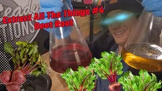 Beet Root Extraction. GOLD AND RED?!?! Extract All The Things #4
