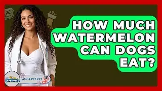 How Much Watermelon Can Dogs Eat? - Ask A Pet Vet