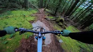 Mountain Bike Trail POV #160 Sagar, Cypress Mountain. (4K)