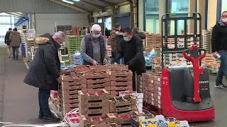 Bilan mitigé pour les ventes de fin d'année au Marché d'intérêt national de Rouen
