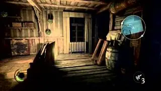 Thief Retrieve the poet's last pieces * The Disappearing Poet