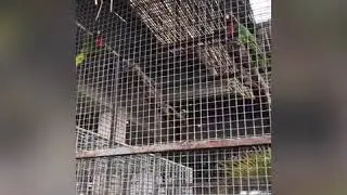 Mini Zoo at Amaya View Cdo