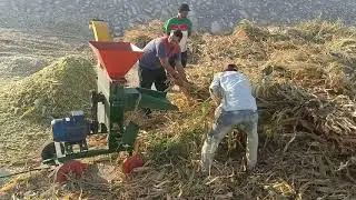 ماكينة فرم السيلاج ع متور كهربا 10 حصان لتواصل 01273017419