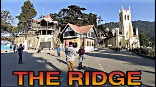 The Ridge Shimla