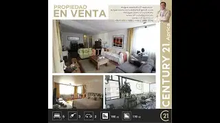 Video ID-11526 Holanda,  Providencia